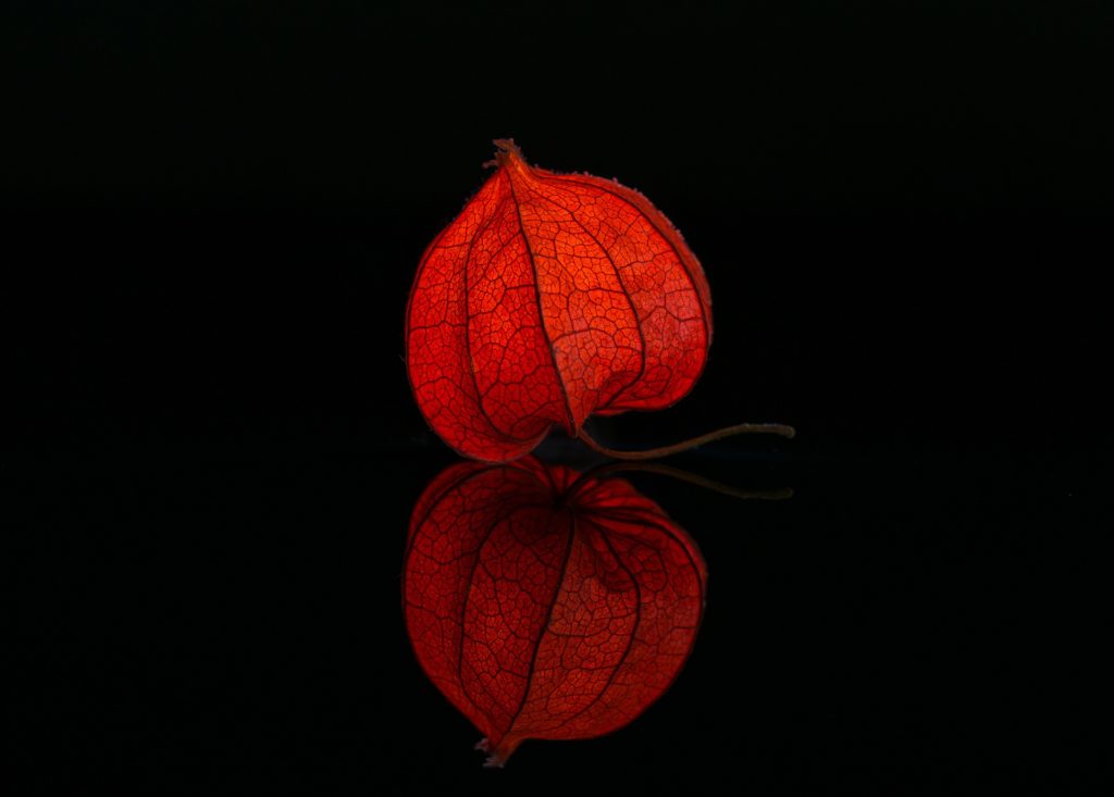 lampion rouge